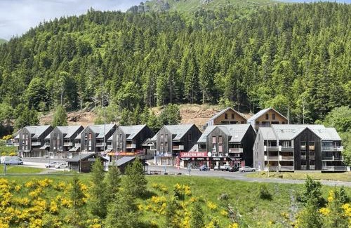 Laveissiere Apartamento | Coquet studio mezzanine exposé sud avec animaux admis - FR-1-787-122