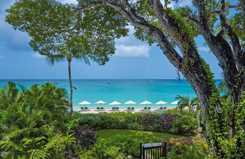 Old Trees Bay Apartamento | Coral Cove 4, campos verdes