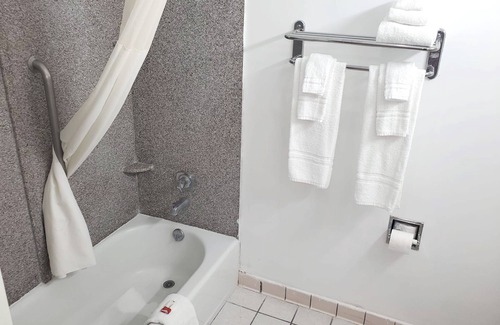 New Braunfels Hotel | Coratel Inn & Suites by Jasper New Braunfels IH-35 EXT 189