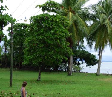 Puerto Jiménez Cabina | Corcovado Beach Lodge