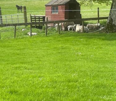 Lanark Casa | Corehouse Farm Cottages - Dairy, Granary & Sawmill