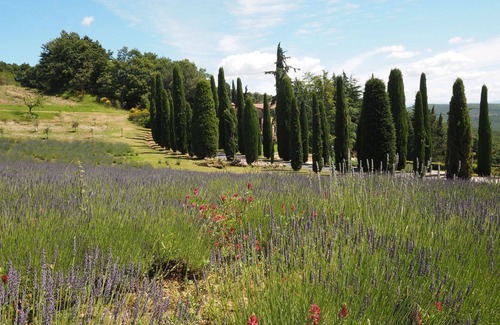 San Gimignano Apartamento | Apartment en Sensano con 3 habitaciones, capacidad 6