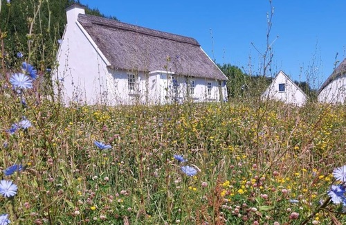 Corofin Cabaña | Corofin Lake Cottages - 3 camas