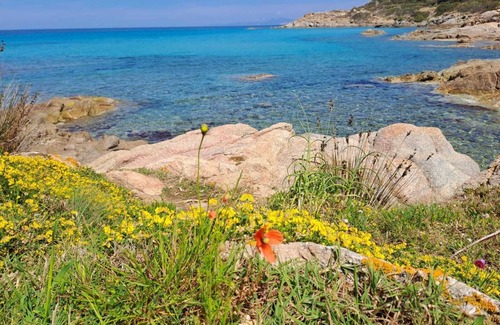 Occhiatana Apartamento | Corse Studio 2 Personnes