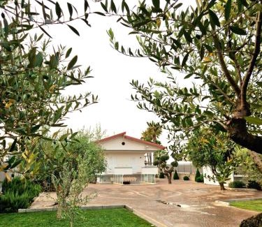 Scafati Cama Y Desayuno | Corte D'Aniello