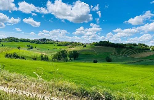 Grana Casa | Corte del Vigneto