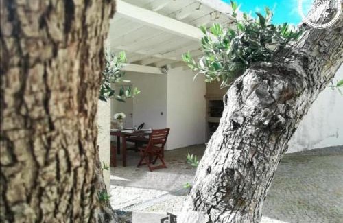 Vieira do Minho Casa | Cortegaça House