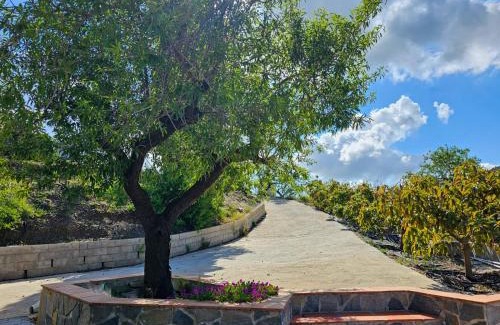 Cómpeta Casa | Cortijo Airen
