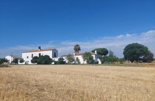 Puerto de Béjar Casa | Cortijo Las Cruces Guillena - Sevilla