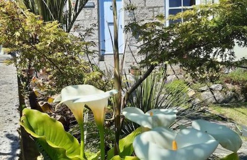Paul Casa | Corvus - Beautiful cottage half a mile from Mousehole