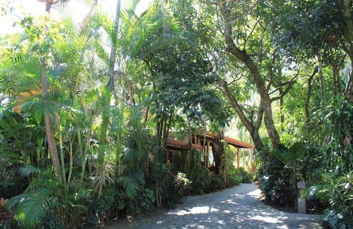 Escazú Apartamento | Costa Verde Inn