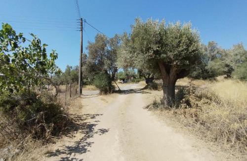 Pallini Casa | CostasFarmhouse, Pallini, Near Athens Airport