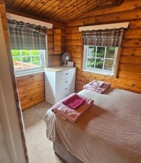 Bronaber Chalet De Esquí | Cosy 2 bedroom Log Cabin in Snowdonia Cabin151