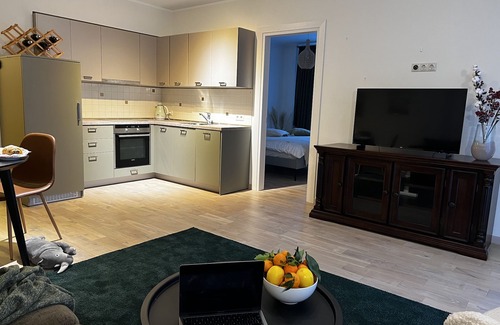 Druskininkai Apartamento | Cosy aparment in the center of Druskininkai 1 min to the Aqua park(Pet friendly)