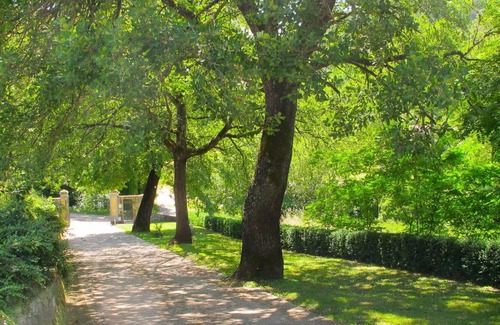 San Giovanni Valdarno Apartamento | Precioso apartamento para 5 personas con WIFI, piscina, TV, mascotas permitida y aparcamiento
