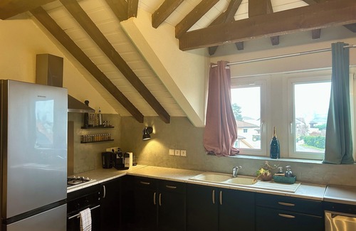 Bons-en-Chablais Apartamento | Cosy apartment: ideal for family, friends, couple