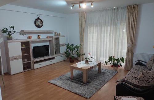 Tirgu Mures Apartamento | Cosy apartment I