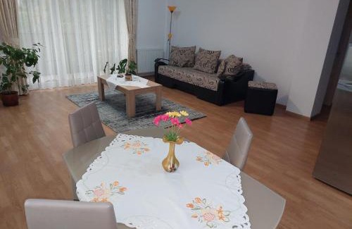 Tirgu Mures Apartamento | Cosy apartment I