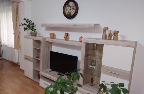 Tirgu Mures Apartamento | Cosy apartment I