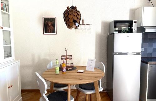 Todtnauberg Apartamento | Cosy Apartment im Wanderparadies Balkon mit Traumblick Sauna im Haus Tiefgarage E-Ladestation