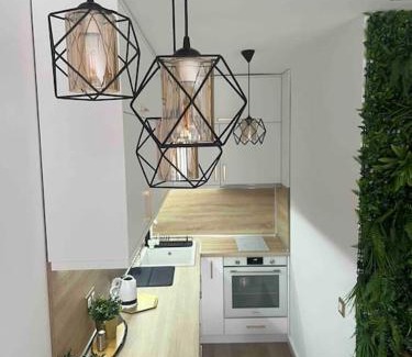 Shiligarnika Apartamento | Cosy Appartement Green Life Bansko