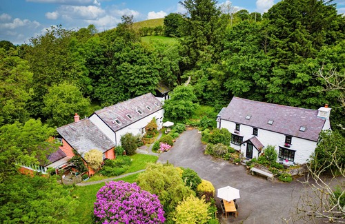 Bontnewydd Cabaña | Cosy Barn Cottage nestled in a Nature Haven