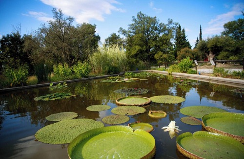 Bompas Apartamento | Cosy, bright studio 3 min from shops - Near Perpignan & beaches.