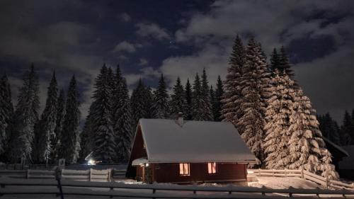 Goreljek Chalet De Esquí | Cosy Chalet on Pokljuka - Brunarica Tinkara