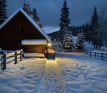Goreljek Chalet De Esquí | Cosy Chalet on Pokljuka - Brunarica Tinkara