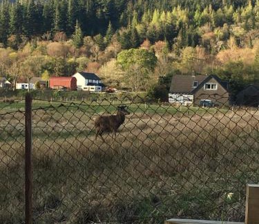 Glencoe Casa | Cosy Cottage