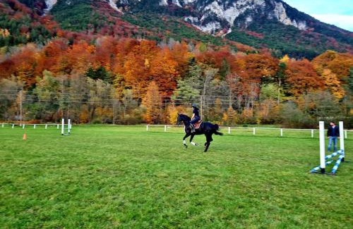Reichenau an der Rax Apartamento | Cosy Family Apartment