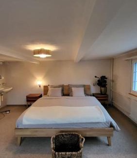Alt Sankt Johann Chalet De Esquí | Cosy Family House