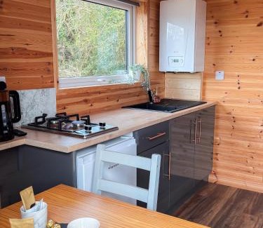 Antrim Apartamento | 'Cosy Gem' Cabin Woodland Retreat Randalstown NI
