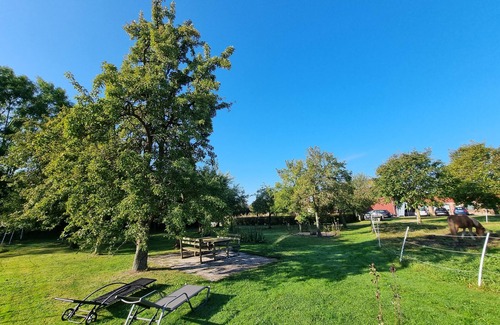 Hasselberg Apartamento | Cosy holiday apartment in Hasselberg