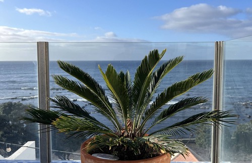 Vila Franca do Campo Casa | Cosy house with a magnificent ocean view