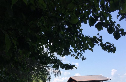 Trumansburg Cabina | Acogedora cabaña de propery lago duerme 4!