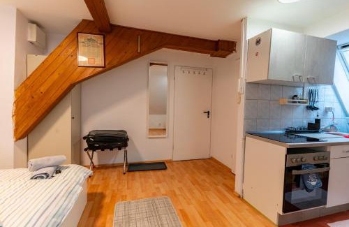 Biebrich Apartamento | Cosy Old Studio at Schlosspark