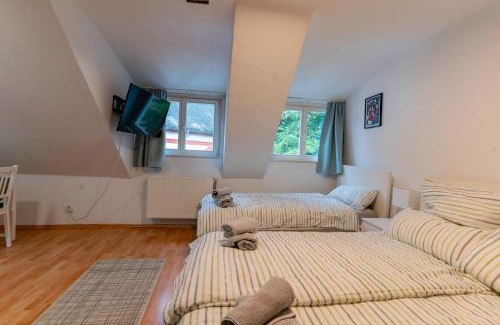 Biebrich Apartamento | Cosy Old Studio at Schlosspark