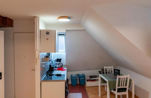 Biebrich Apartamento | Cosy Old Studio at Schlosspark