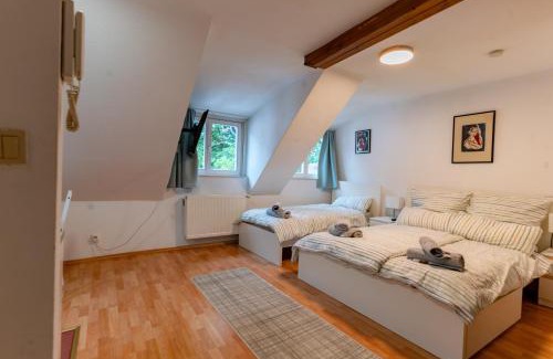 Biebrich Apartamento | Cosy Old Studio at Schlosspark