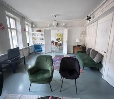 Copenhagen City Centre Apartamento | Cosy penthouse Apartment in the heart of Copenhagen