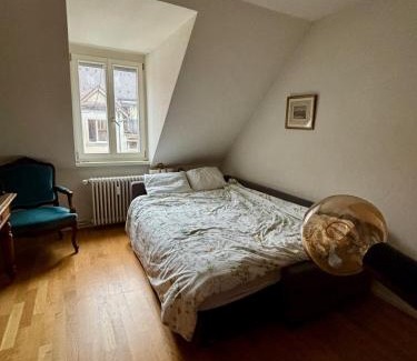 Sihlfeld Casa | Cosy room in attic flat in the center of Zurich