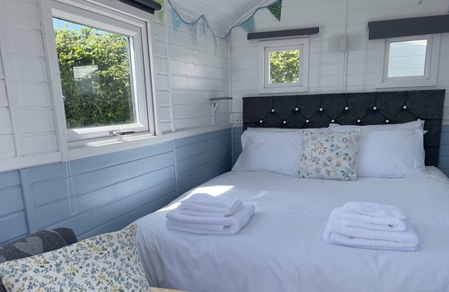 Kingsbridge Cabina | Cosy Shepherds Hut with Countryside Views and private facilities