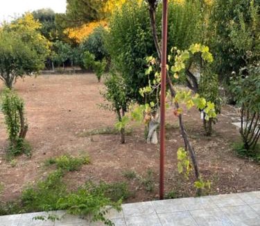 Dilesi Casa | Cosy spot near the beach only 45 min from Athens