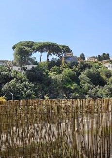 Riou - Petit Juas - Av de Grasse Apartamento | Cosy T4 walk to Center, Festivals,Congress,Beach