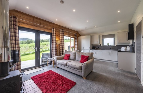 Pitlochry Cabina | Cosy Woodland Lodge close to Pitlochry