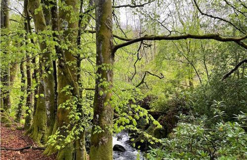 Saint John's Town of Dalry Casa | Cosy woodland off grid Shepherds Hut - Hazel
