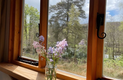 Saint John's Town of Dalry Cabina | Cosy woodland off Grid Shepherds Hut no1