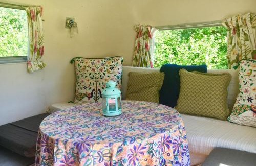 Whichford Otro | Cotswolds Camping at Holycombe