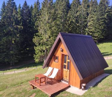 Zabljak Chalet De Esquí | Cottage 1600 Bosaca